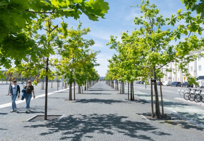 Apartamento em Lisboa - Confortável Apartamento em Alfama com Vista para o Rio - TTL126 Apartamento em Lisboa - Confortável Apartamento em Alfama com Vista para o Rio - TTL126