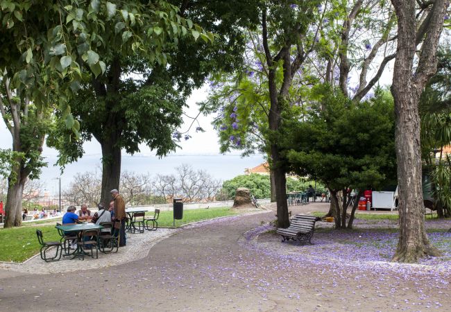 Apartamento em Lisboa - Apartamento Santa Clara com terraço - TTL268 Apartamento em Lisboa - Apartamento Santa Clara com terraço - TTL268