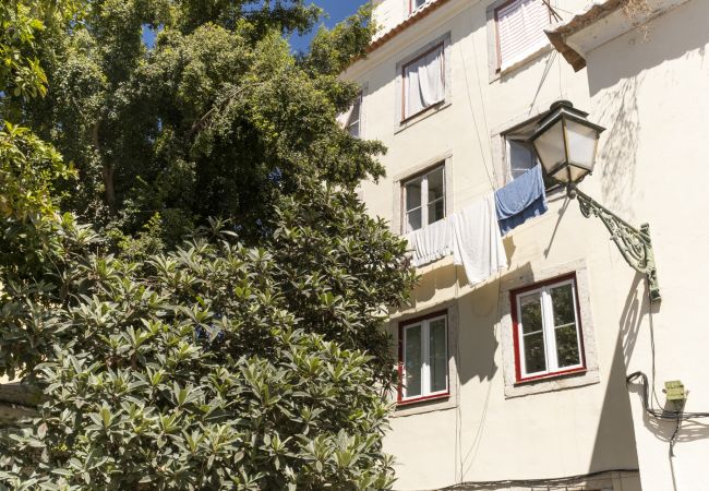 Apartment in Lisboa - Duplex in Lisbon's old town - TTL321 Apartment in Lisboa - Duplex in Lisbon's old town - TTL321