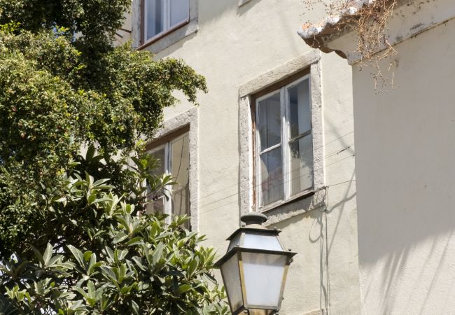 Apartamento en Lisboa - Apartamento con terraza en el centro - TTL279 Apartamento en Lisboa - Apartamento con terraza en el centro - TTL279