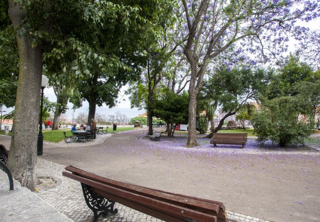 Apartamento en Lisboa - Piso con terraza en Santa Clara - TTL268 Apartamento en Lisboa - Piso con terraza en Santa Clara - TTL268