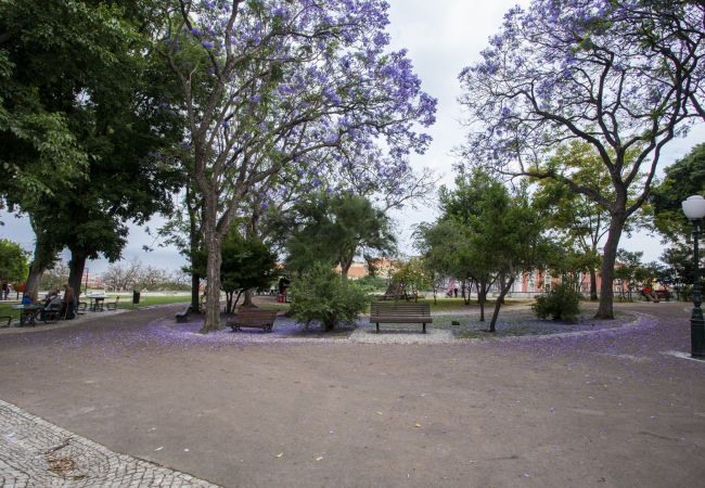 Apartamento en Lisboa - Piso con terraza en Santa Clara - TTL268 Apartamento en Lisboa - Piso con terraza en Santa Clara - TTL268